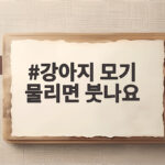 강아지 모기 물리면 붓나요