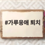 실내 가루응애 완벽 퇴치법 가루응애 퇴치