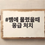 뱀에 물렸을때 응급 처치 증상 대처법 뱀에 물렸을때 응급 처치