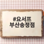 요서프 부산송정점 초보 서핑 강습 솔직 후기 요서프 부산송정점