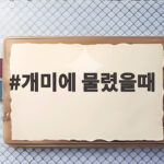 개미에 물렸을때