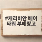 캐리비안 베이 타워 부메랑고