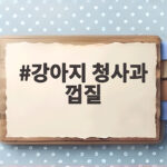 강아지 청사과 껍질