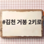 김천 거봉 2키로
