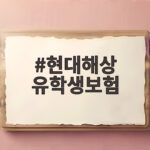 현대해상 유학생보험