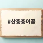 산층층이꽃 효능과 먹는법 한눈에 산층층이꽃