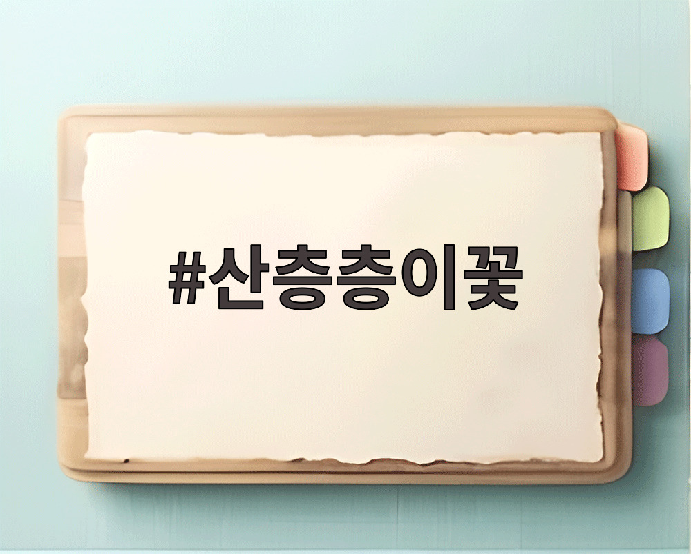 산층층이꽃