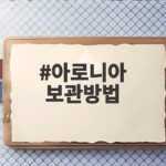아로니아 보관방법