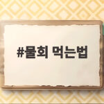 물회 먹는법