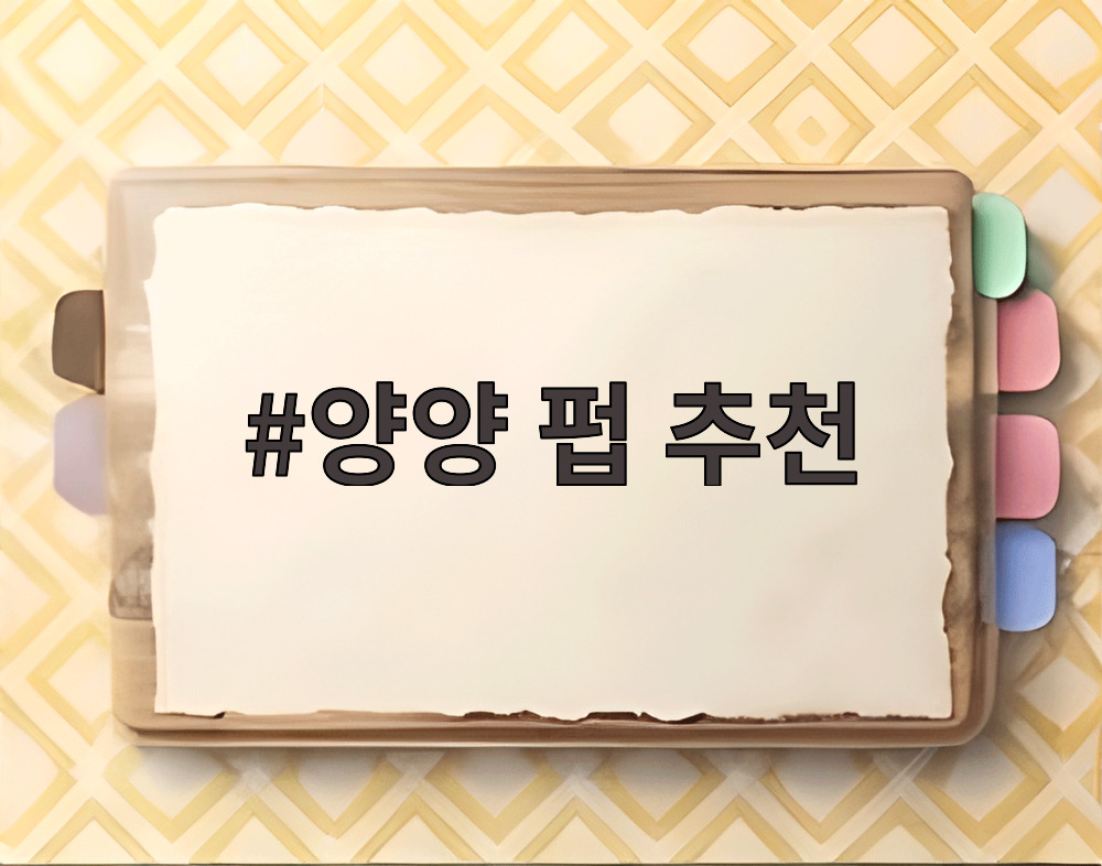 양양 펍 추천