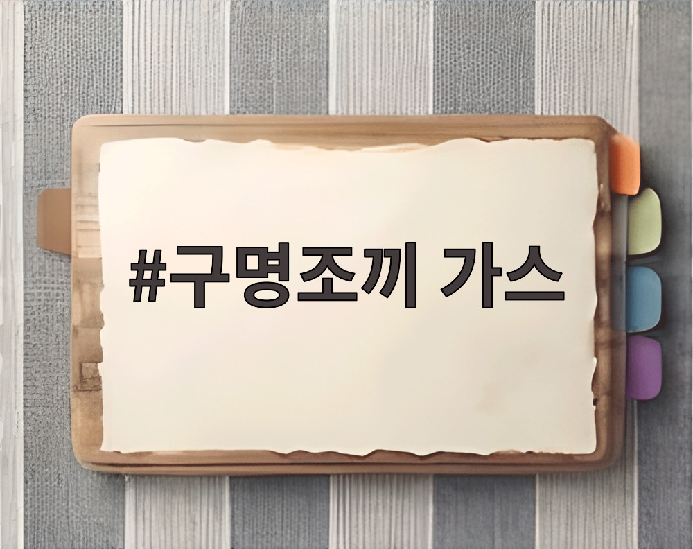 구명조끼 가스