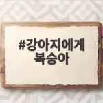 강아지에게 복숭아