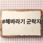 해바라기 군락지 명소와 만개 시기 총정리 해바라기 군락지