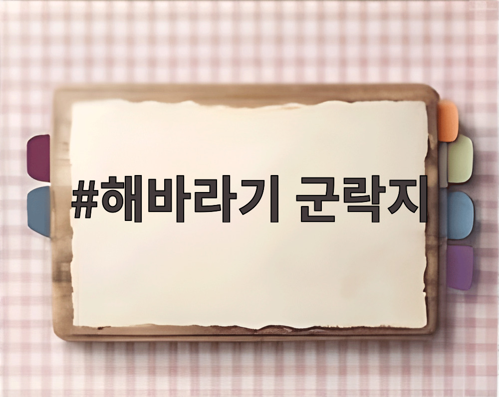해바라기 군락지
