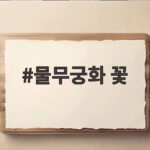 물무궁화 꽃