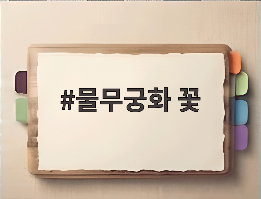물무궁화 꽃