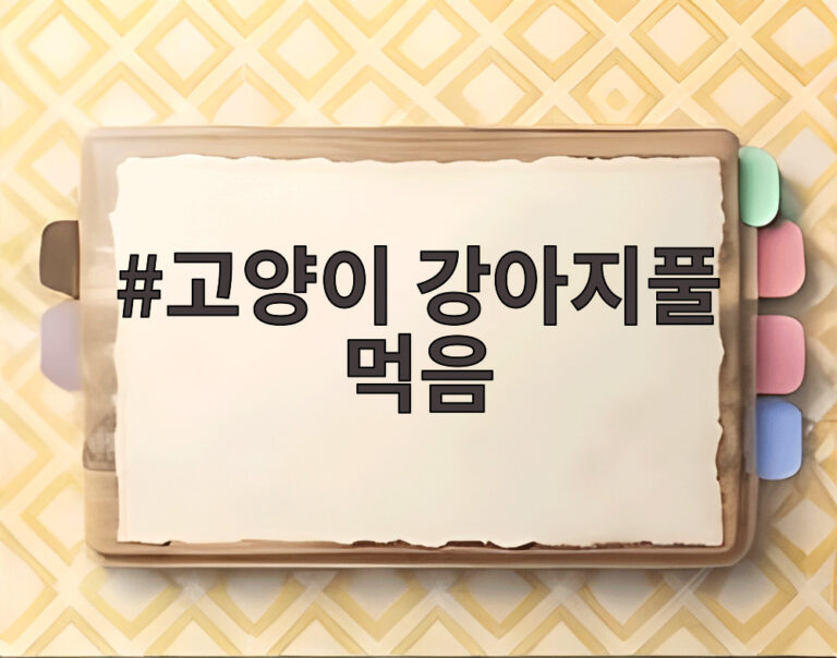 고양이 강아지풀 먹음