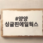 양양 싱글핀에일웍스 시카고 피자 맛집 양양 싱글핀에일웍스