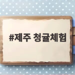제주 청귤체험 풋귤따기 청 담그기 후기 제주 청귤체험