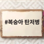 복숭아 탄저병 초기 증상과 예방 대처법 복숭아 탄저병