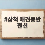 삼척 애견동반 펜션 반려견과 바다 여행 삼척 애견동반 펜션