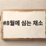 8월에 심는 채소 10가지 파종 시기와 방법 8월에 심는 채소