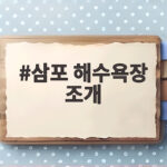 삼포 해수욕장 조개