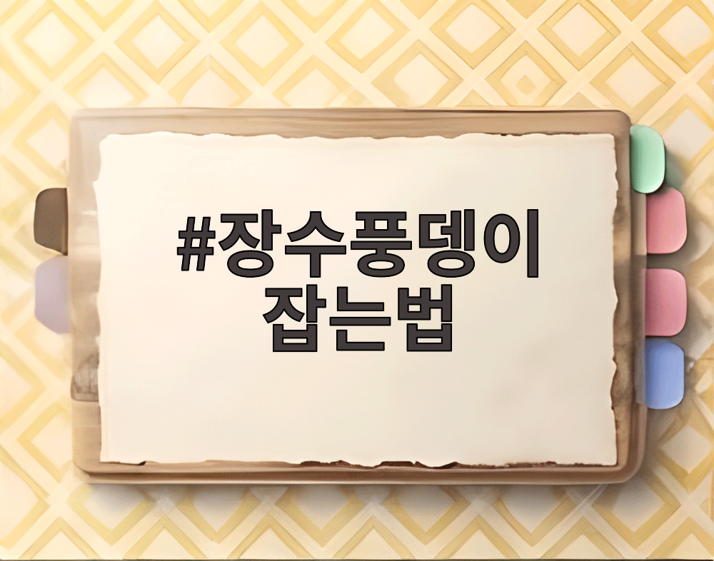 장수풍뎅이 잡는법