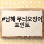 남해 무늬오징어 포인트