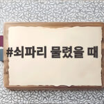 쇠파리 물렸을 때, 빠른 대처와 예방법 쇠파리 물렸을 때