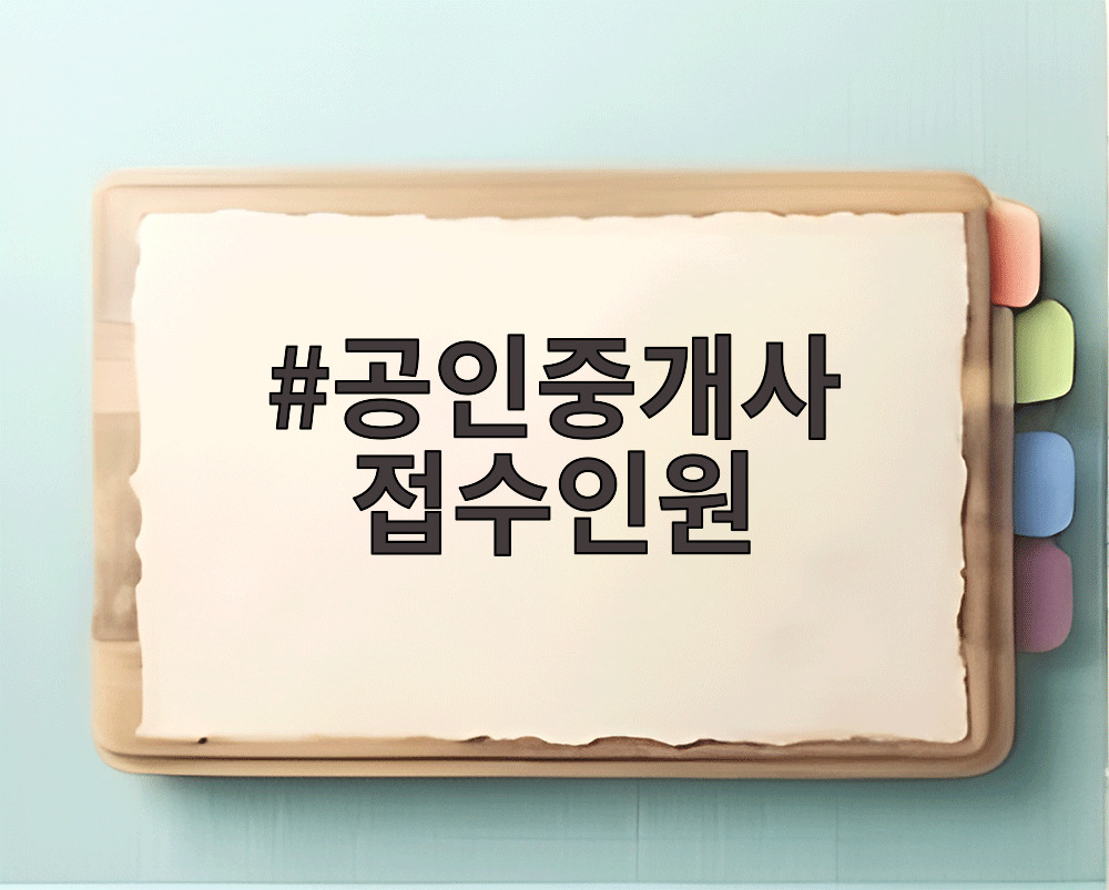 공인중개사 접수인원