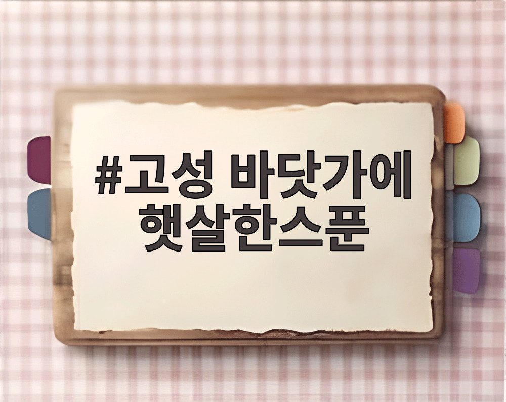 고성 바닷가에 햇살한스푼