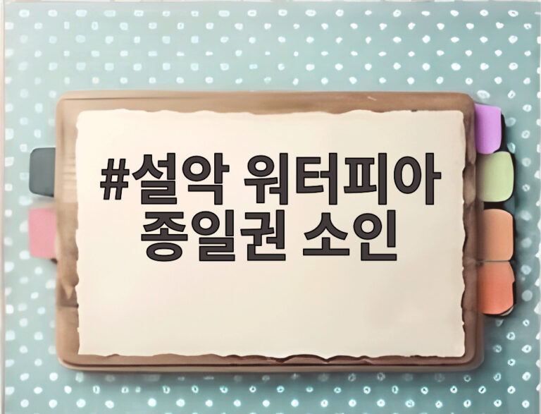 설악 워터피아 종일권 소인