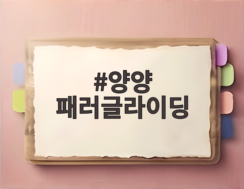 양양 패러글라이딩