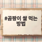 곰팡이 쌀 먹는 방법 버리는 게 답 곰팡이 쌀 먹는 방법