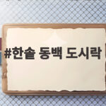 한솥 동백 도시락 후기와 매일 할인 혜택 한솥 동백 도시락