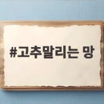 고추말리는 망 고르는 법과 실패 없는 관리 고추말리는 망
