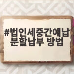 법인세 중간예납 분할납부 방법 총정리 법인세중간예납 분할납부 방법