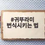 직접 키운 귀뚜라미 번식시키는 법 귀뚜라미 번식시키는 법