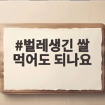 벌레생긴 쌀 먹어도 되는 기준과 처리법 벌레생긴 쌀 먹어도 되나요