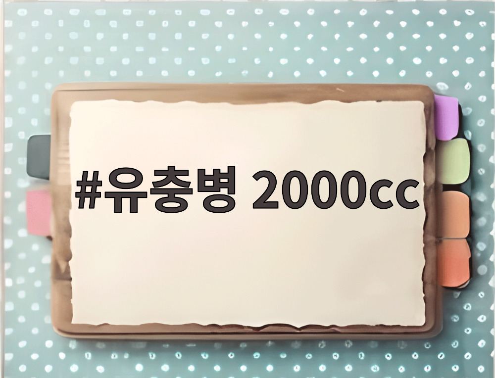 유충병 2000cc