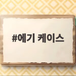 에기 케이스 보관하는 방법 총정리 에기 케이스