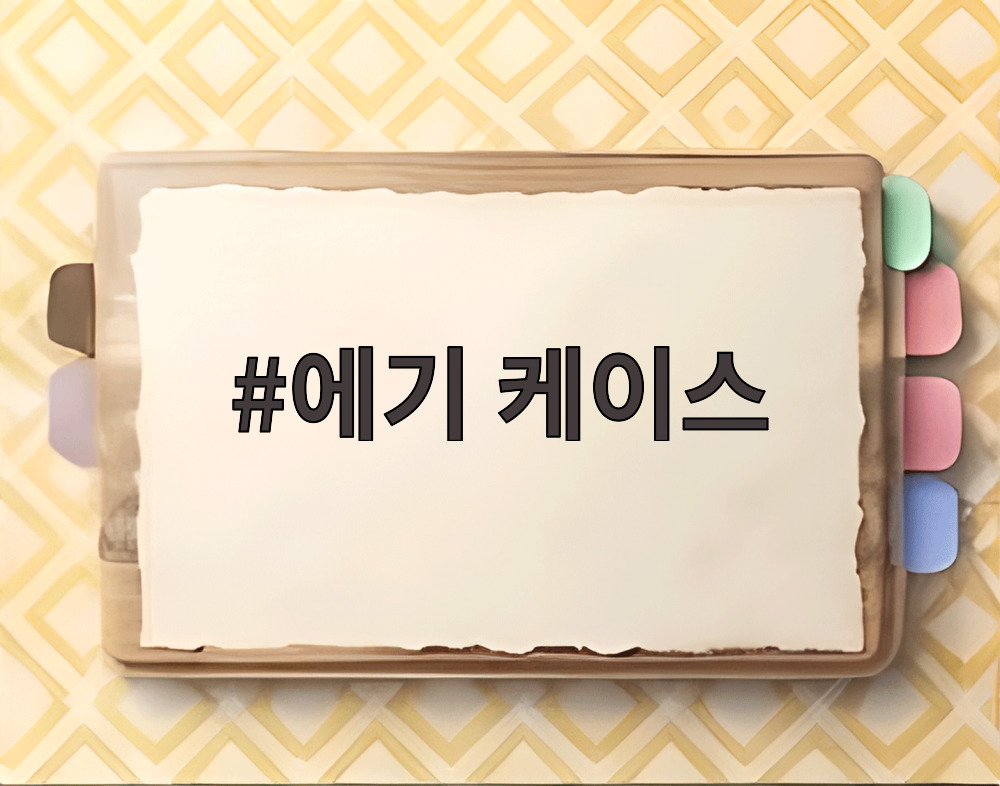 에기 케이스