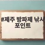제주 방파제 낚시 포인트 총정리 제주 방파제 낚시 포인트