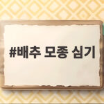 배추 모종 심기