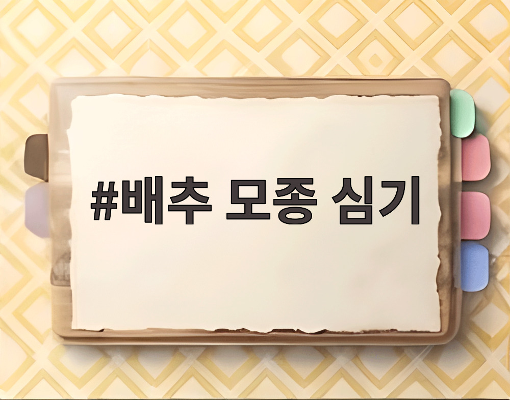 배추 모종 심기