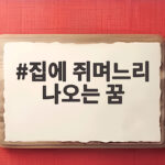 집에 쥐며느리 나오는 꿈 해몽 100가지 길몽 흉몽 총정리 집에 쥐며느리 나오는 꿈