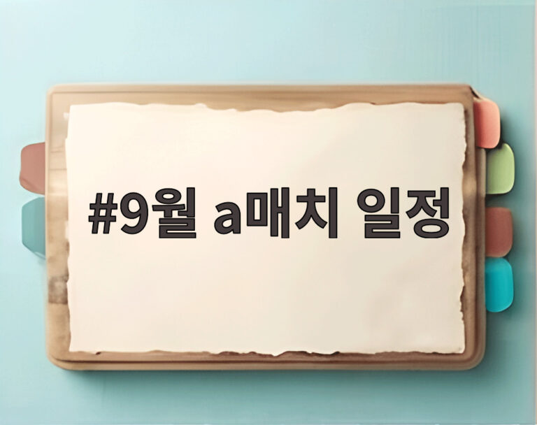 9월 a매치 일정