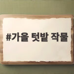 9월에 심는 텃밭 작물 7가지 추천 가을 텃밭 작물