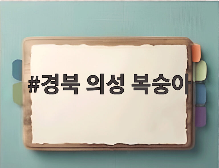 경북 의성 복숭아
